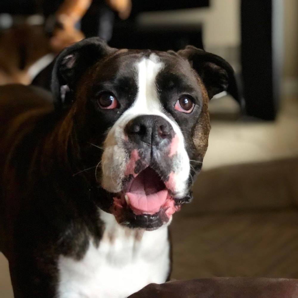 Meet your Posher, Jackie